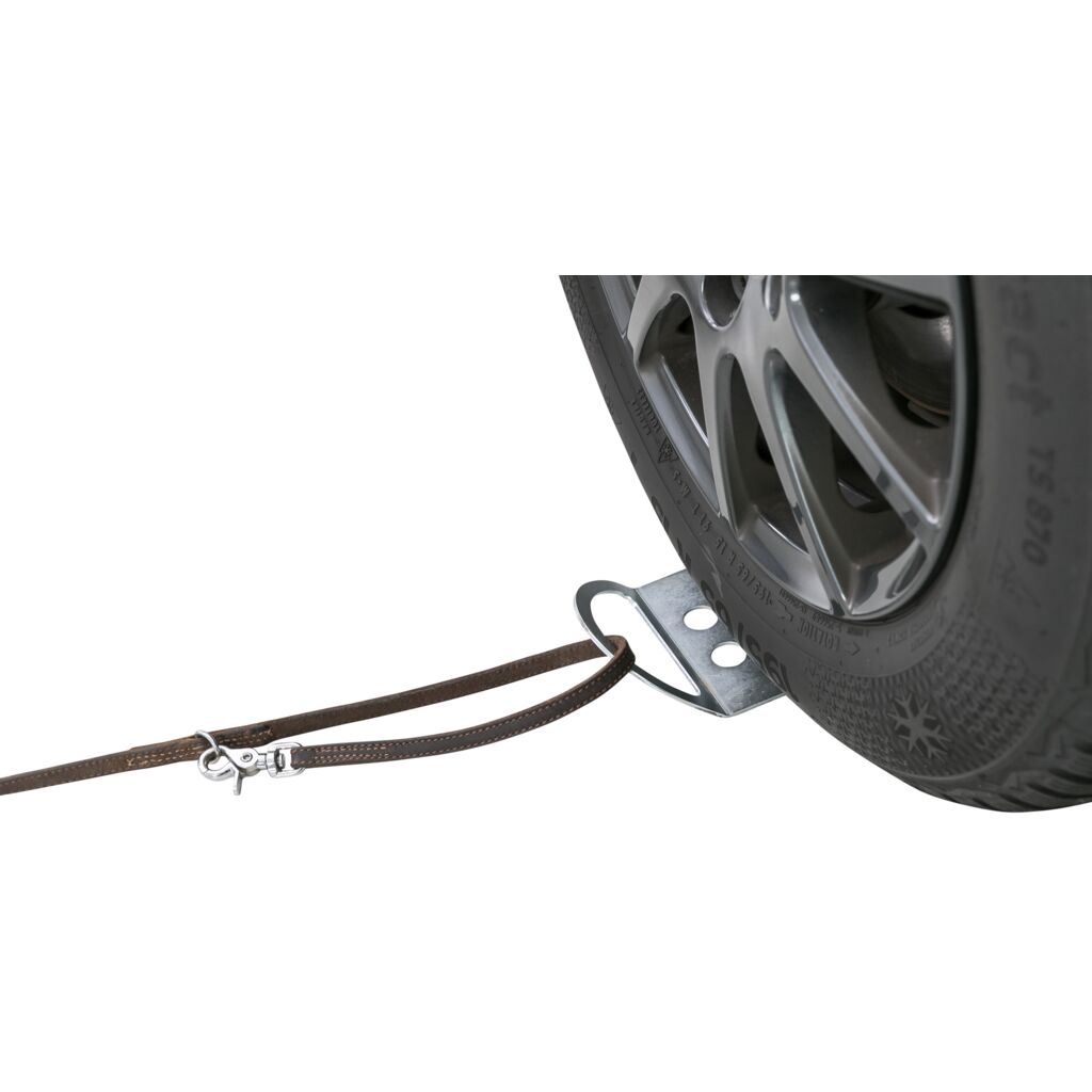 Auffahrplatte zum Anleinen-Pfoten Feinstes