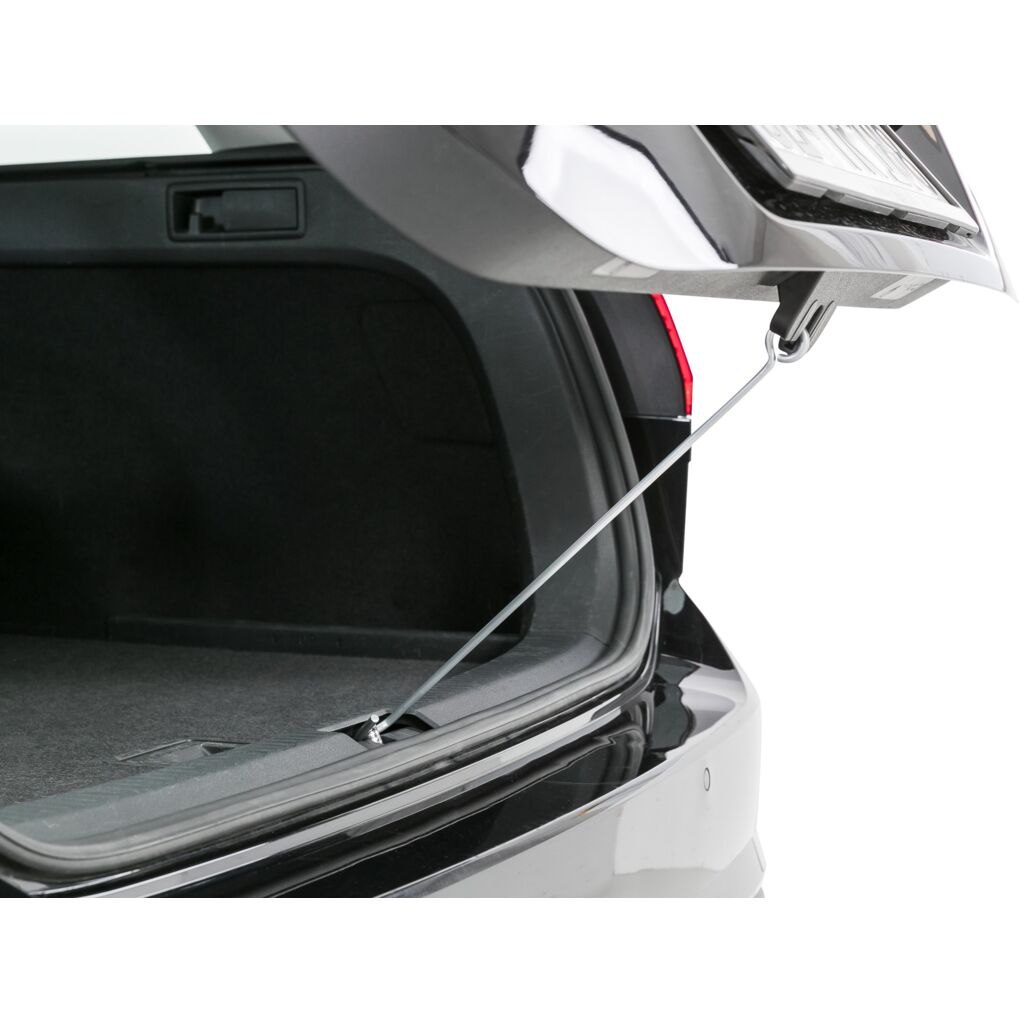 Car Cooler-Pfoten Feinstes