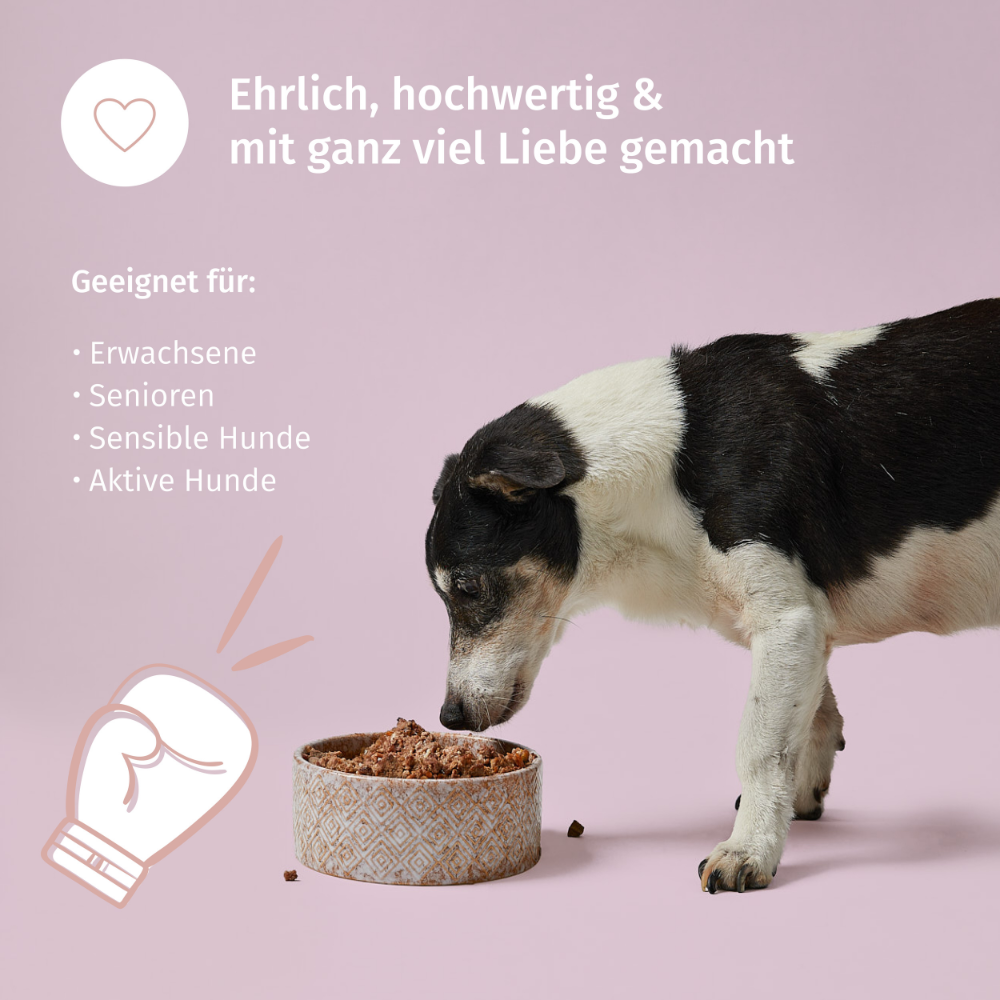 Drops zur Förderung der Beweglichkeit älterer Hunde