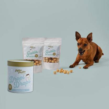 Gesunde-Zähne-Paket