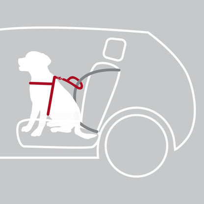 Auto-Geschirr Comfort-Pfoten Feinstes