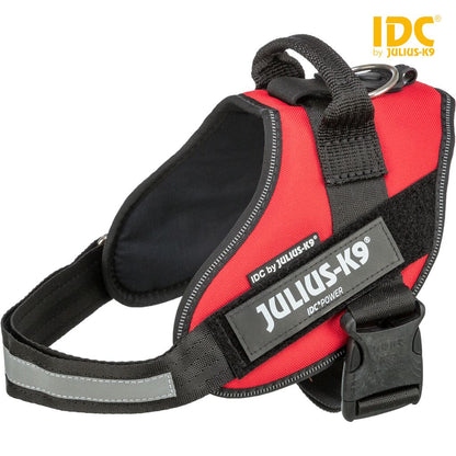 Julius-K9® IDC® Powergeschirr Gr. 0–4-Pfoten Feinstes