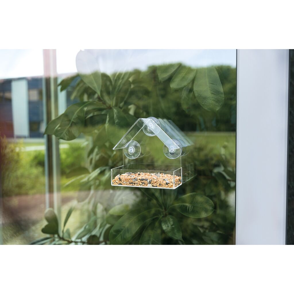 Futterhaus für Fensterscheibe-Pfoten Feinstes