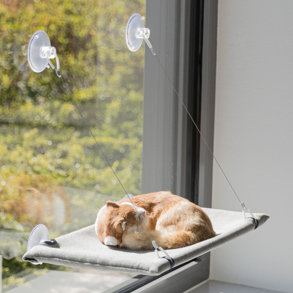 Liegeplatz für Fensterscheibe-Pfoten Feinstes