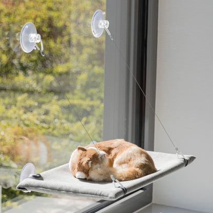Liegeplatz für Fensterscheibe-Pfoten Feinstes