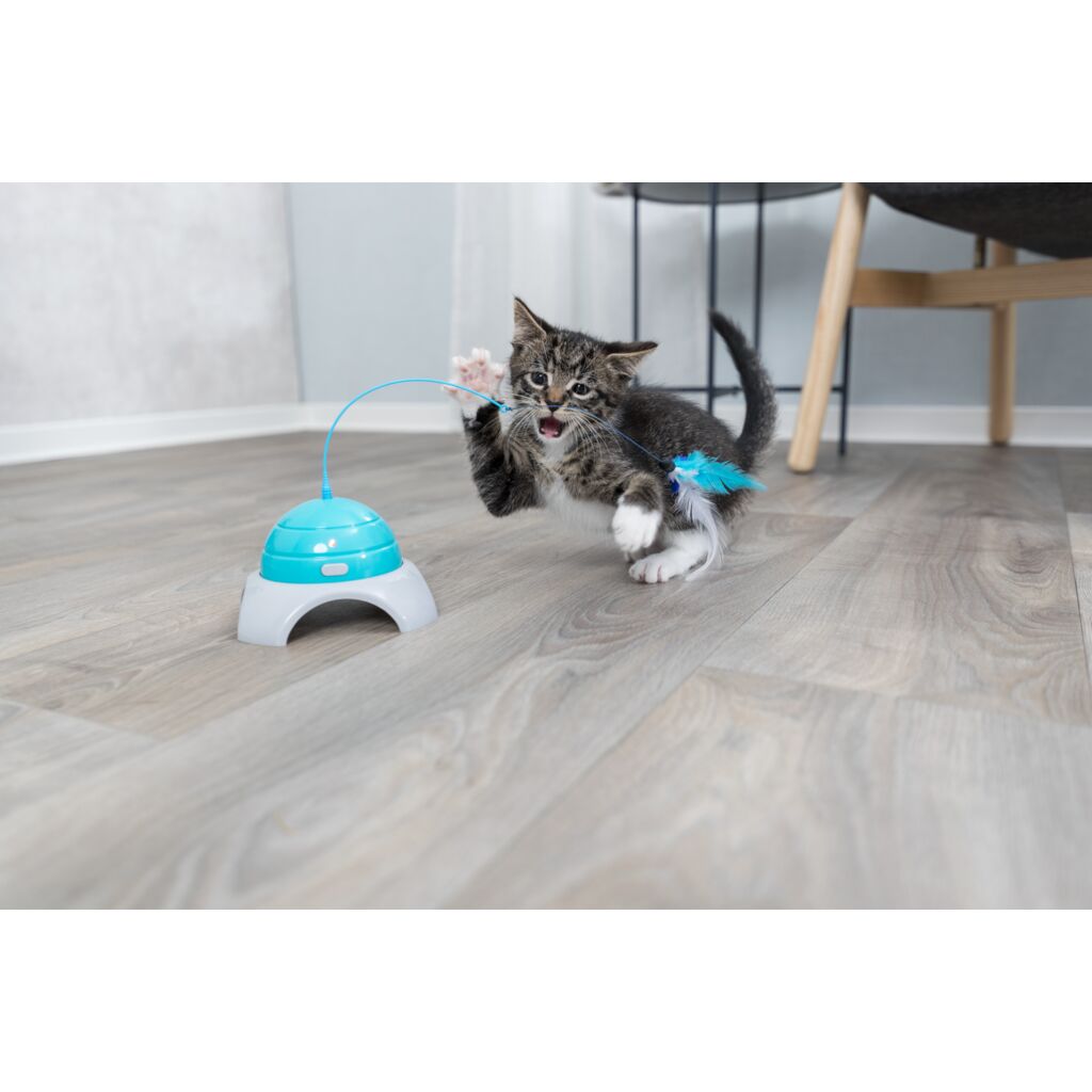 Catch Me mit Fernbedienung-Pfoten Feinstes