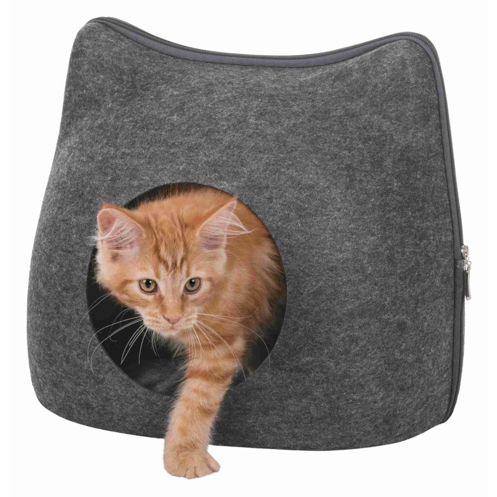 Höhle Cat-Pfoten Feinstes