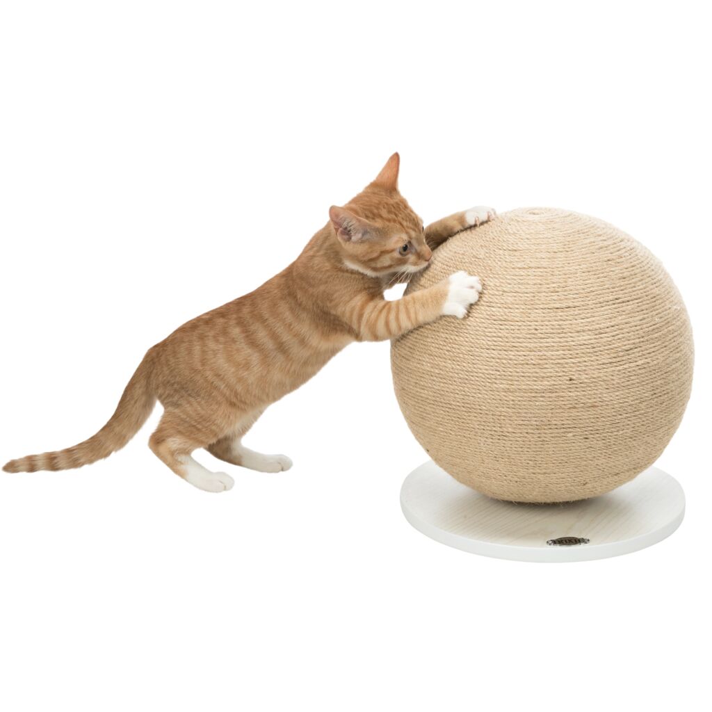 Kratzball-Pfoten Feinstes