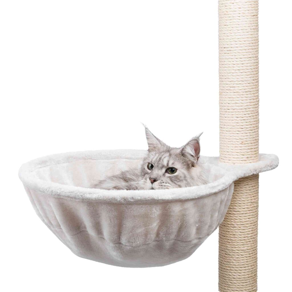 Kuschelsack XXL für Kratzbäume, extra-strong-Pfoten Feinstes