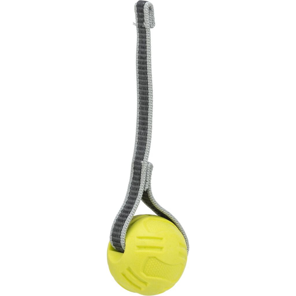 Ball am Gurt für Hunde-Pfoten Feinstes