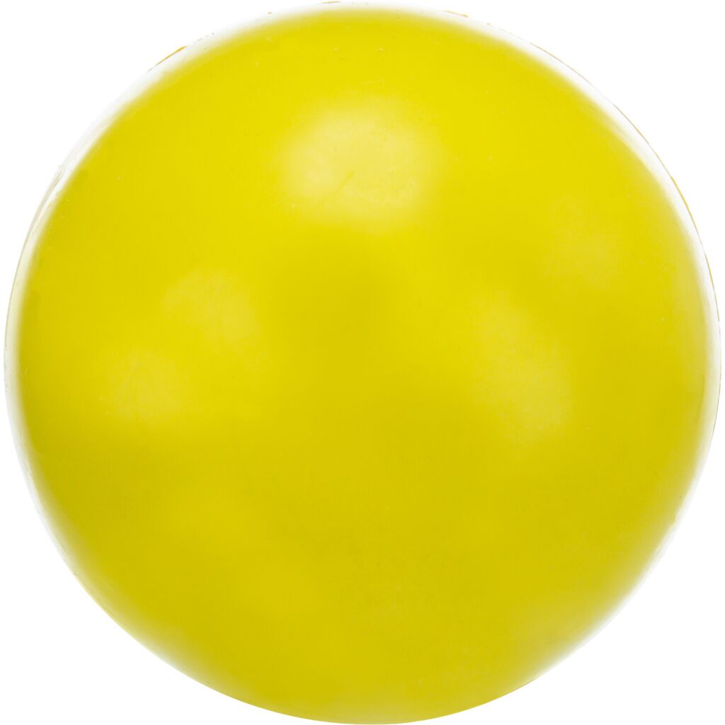 Ball für Hunde-Pfoten Feinstes