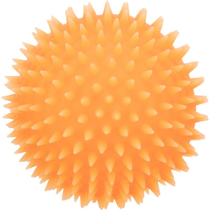 Igelball für Hunde-Pfoten Feinstes