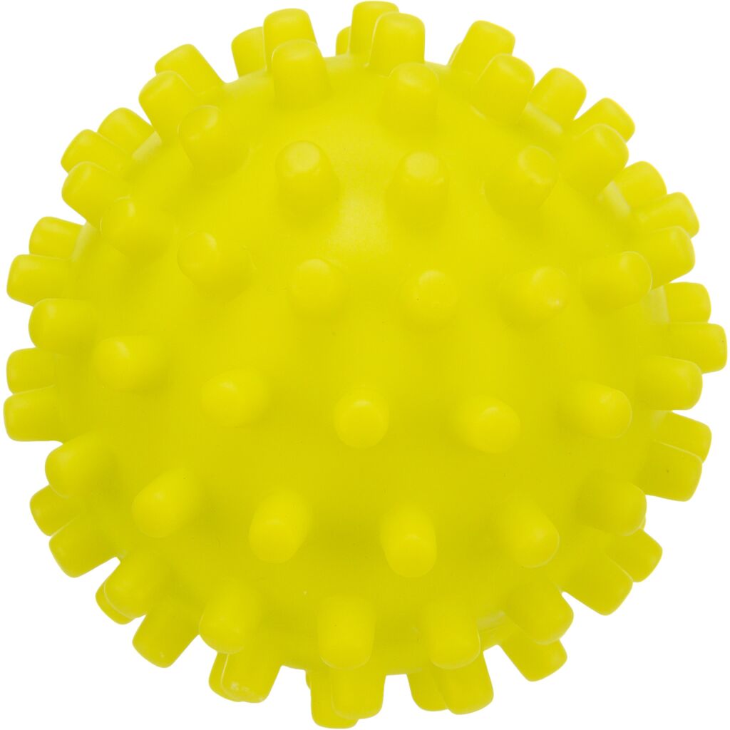 Igelball für Hunde-Pfoten Feinstes