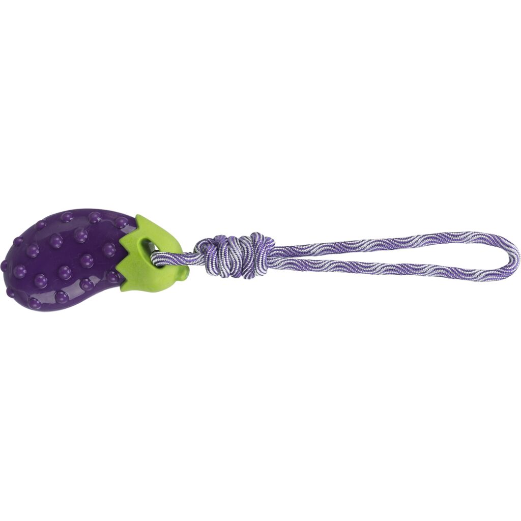 Aubergine am Seil-Pfoten Feinstes