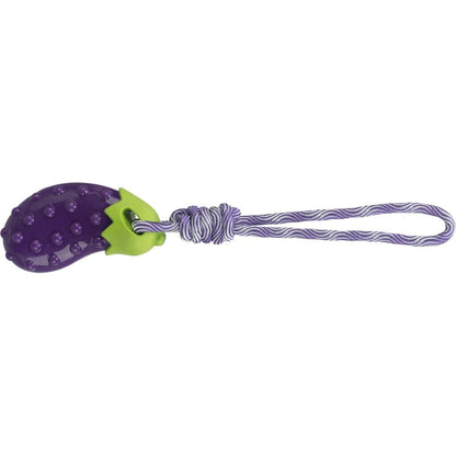 Aubergine am Seil-Pfoten Feinstes