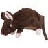 Ratte-Pfoten Feinstes