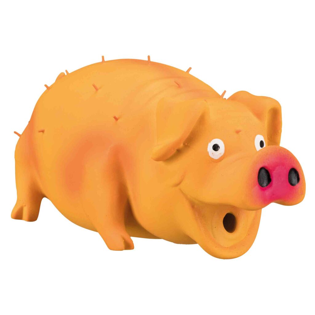 Borstenschwein-Pfoten Feinstes