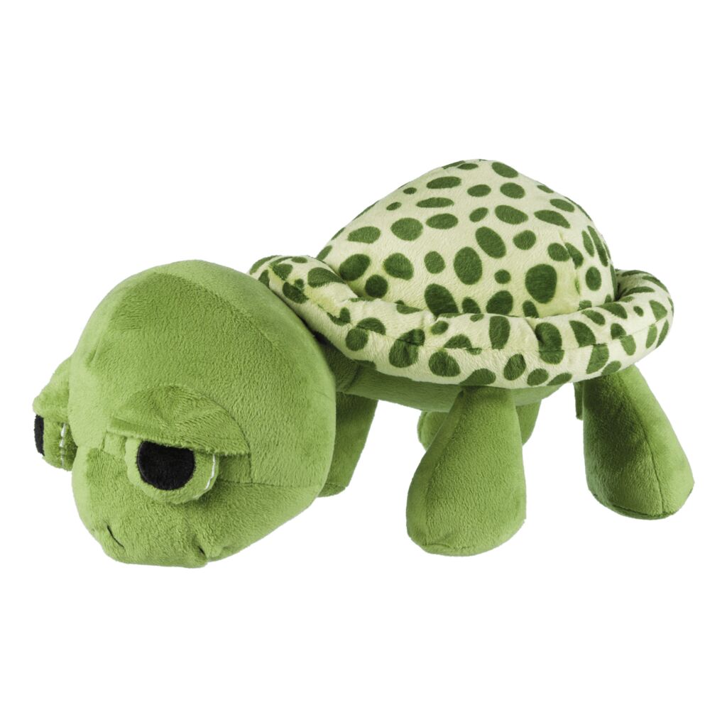 Schildkröte-Pfoten Feinstes