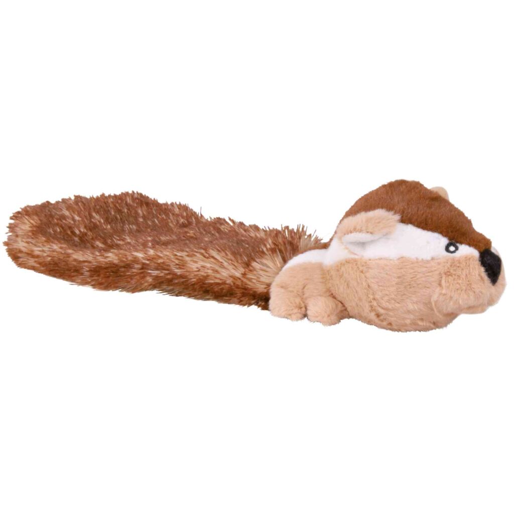 Schlenker-Streifenhörnchen-Pfoten Feinstes