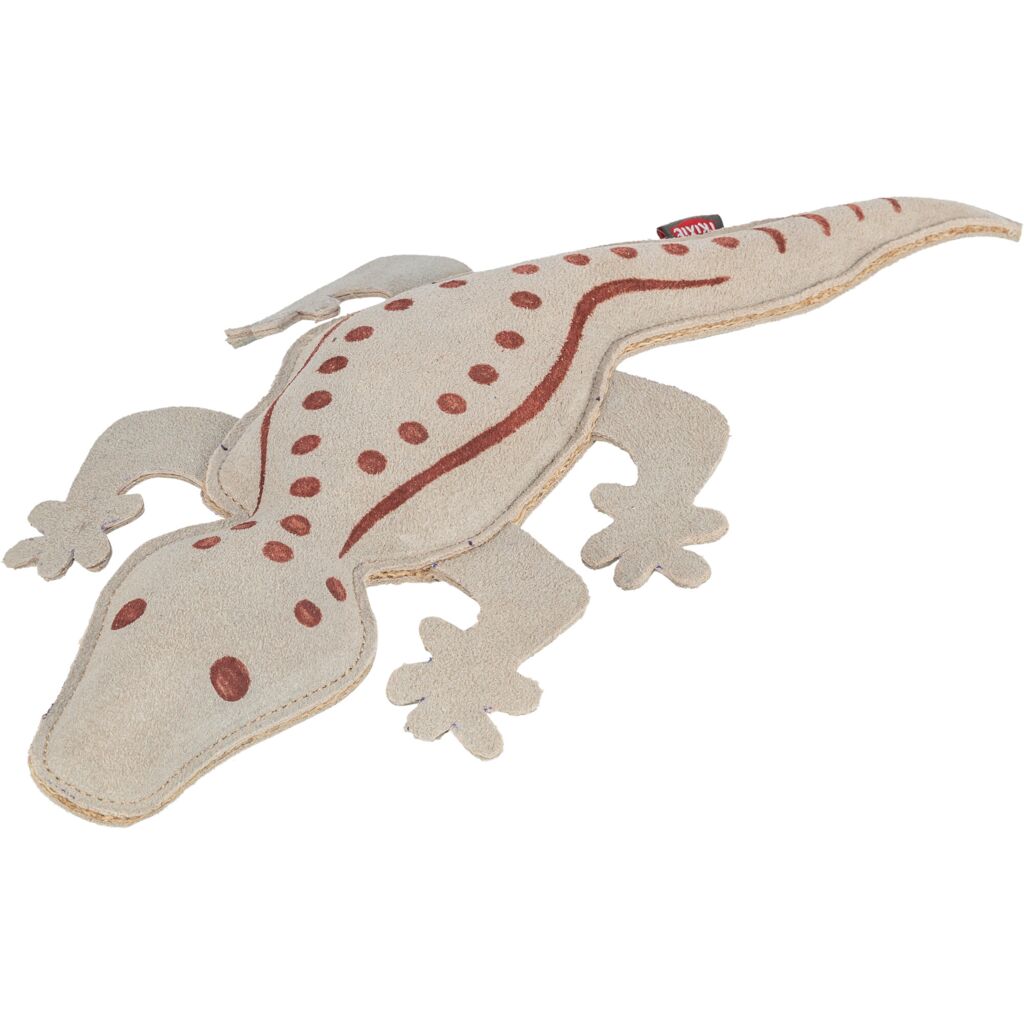 Salamander-Pfoten Feinstes