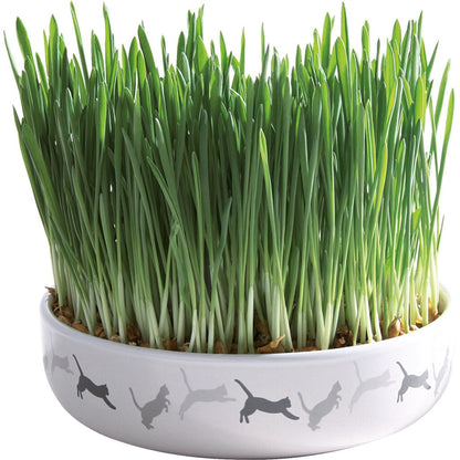 Keramikschale mit Katzengras-Pfoten Feinstes