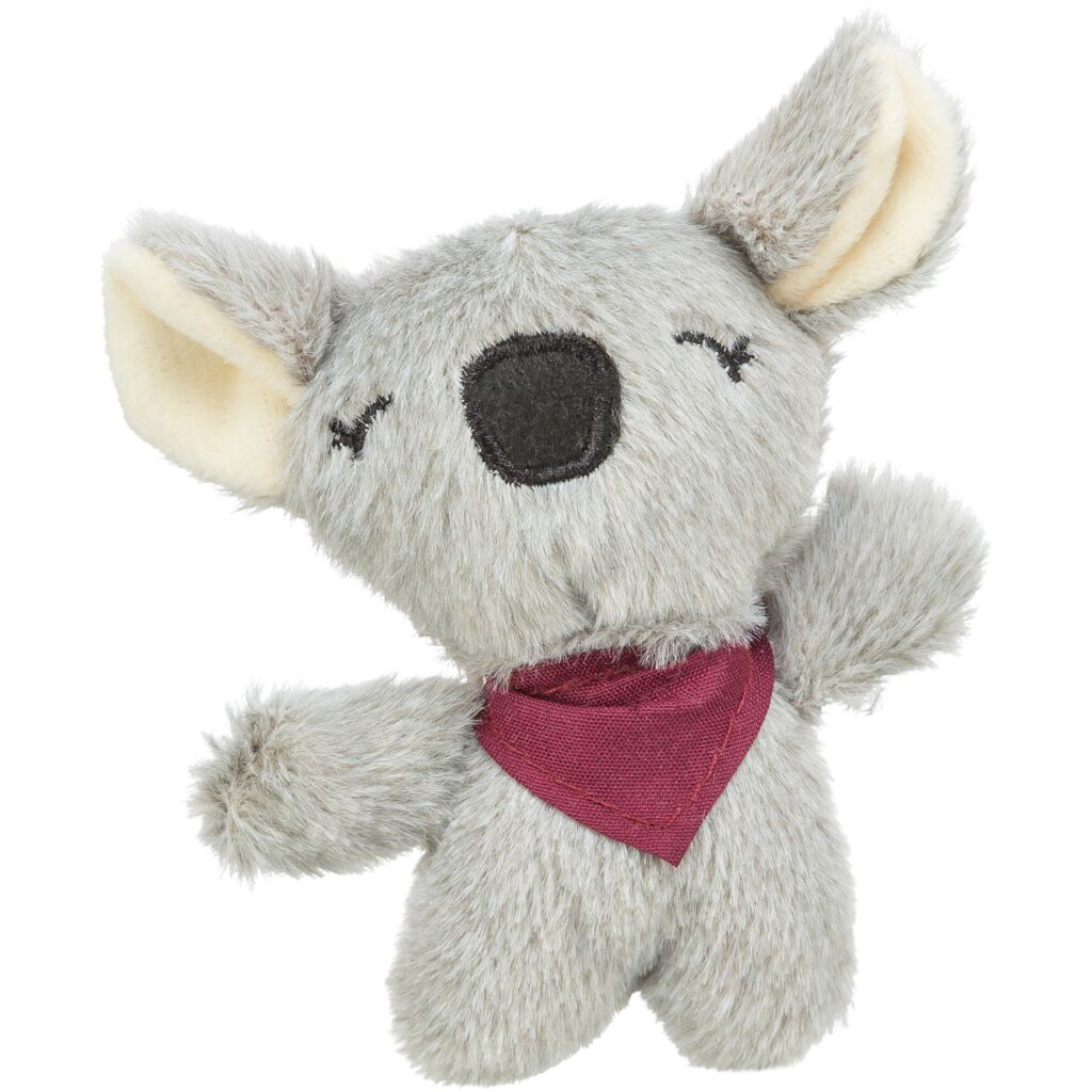 Koala, mit Katzenminze-Pfoten Feinstes