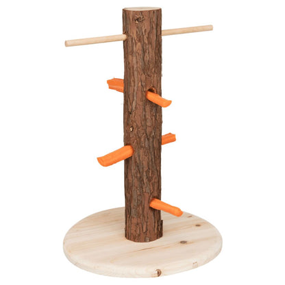 Futterbaum-Pfoten Feinstes