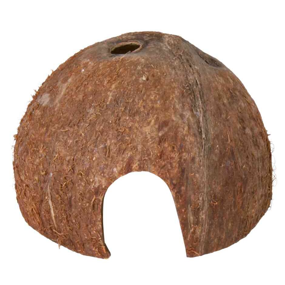 Kokosnuss-Halbschale-Pfoten Feinstes