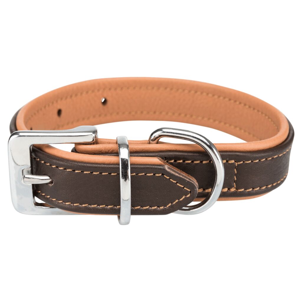 Active Comfort Hundehalsband-Pfoten Feinstes
