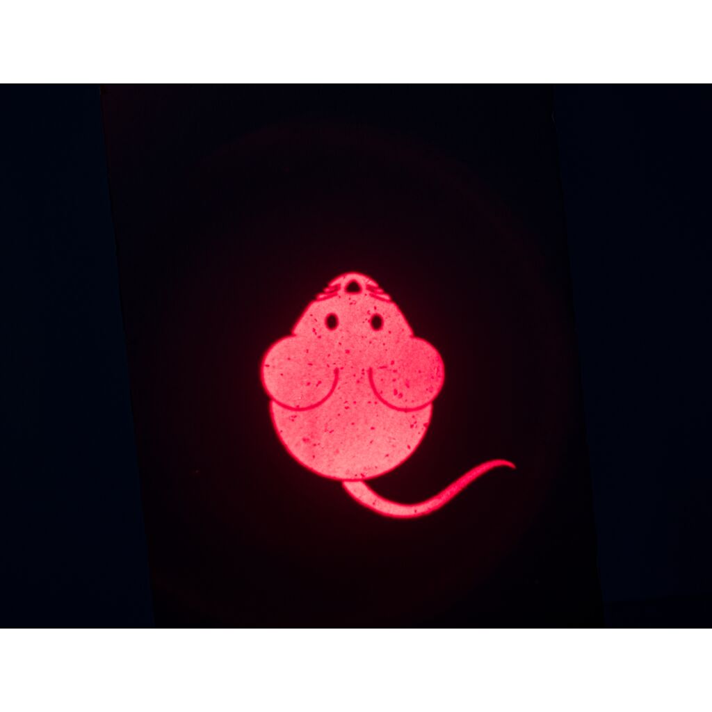 LED Pointer Catch the Light, Maus, USB-Pfoten Feinstes
