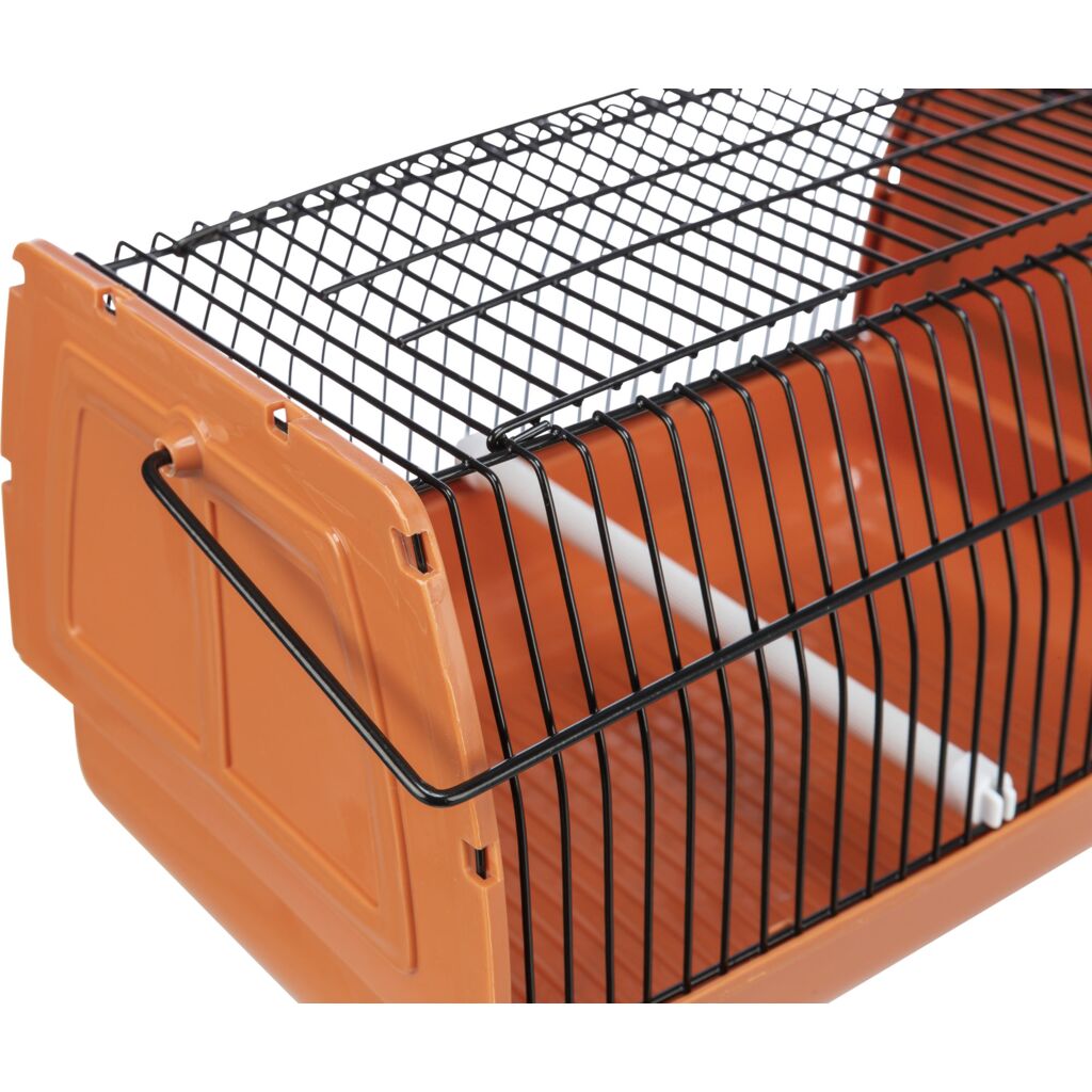 Transportbox-Pfoten Feinstes