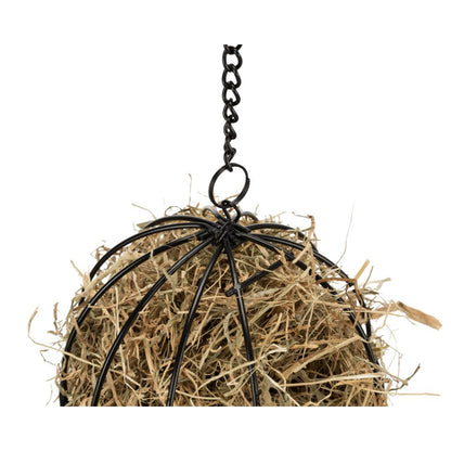 Food-Ball-Pfoten Feinstes