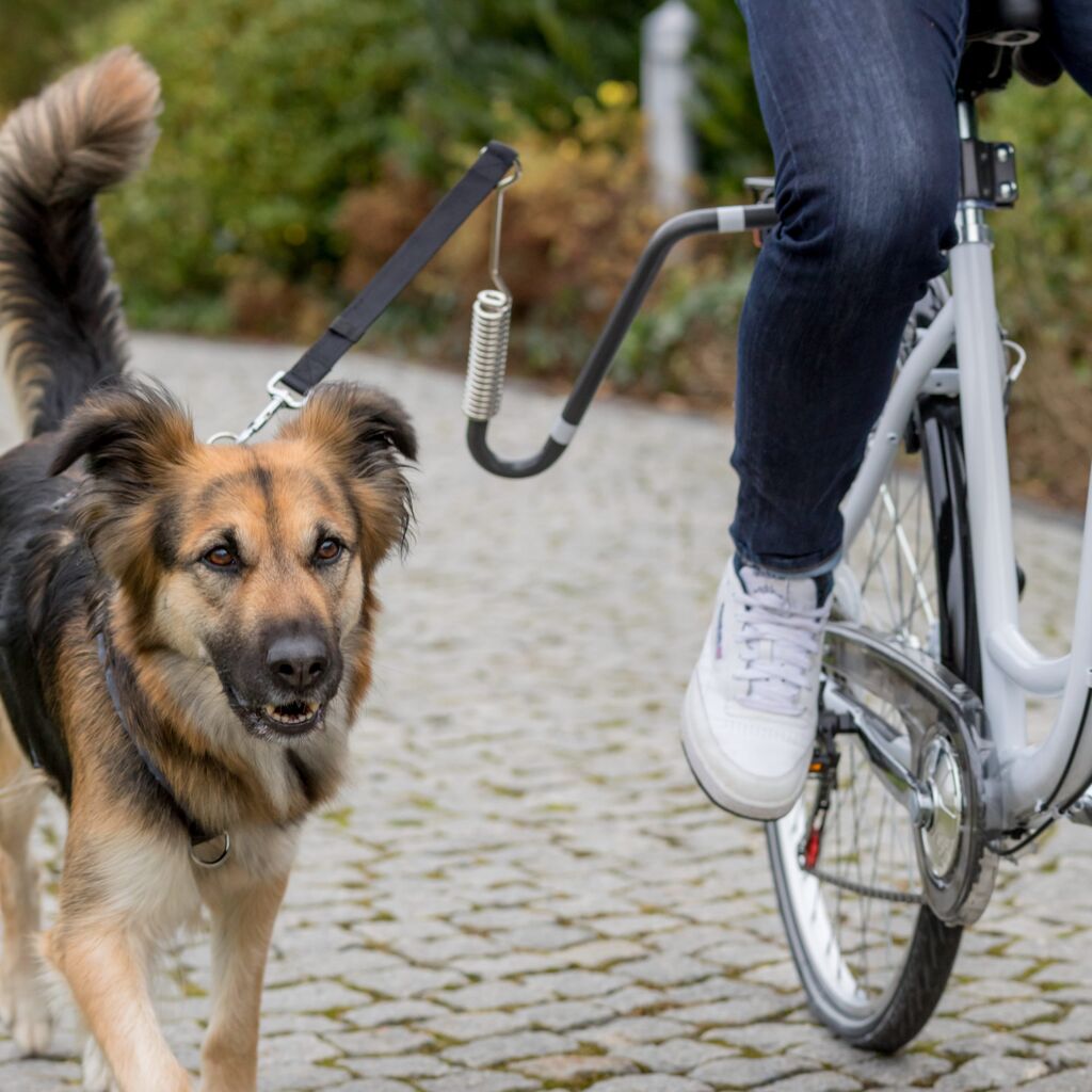 Biker-Set, U-Form-Pfoten Feinstes