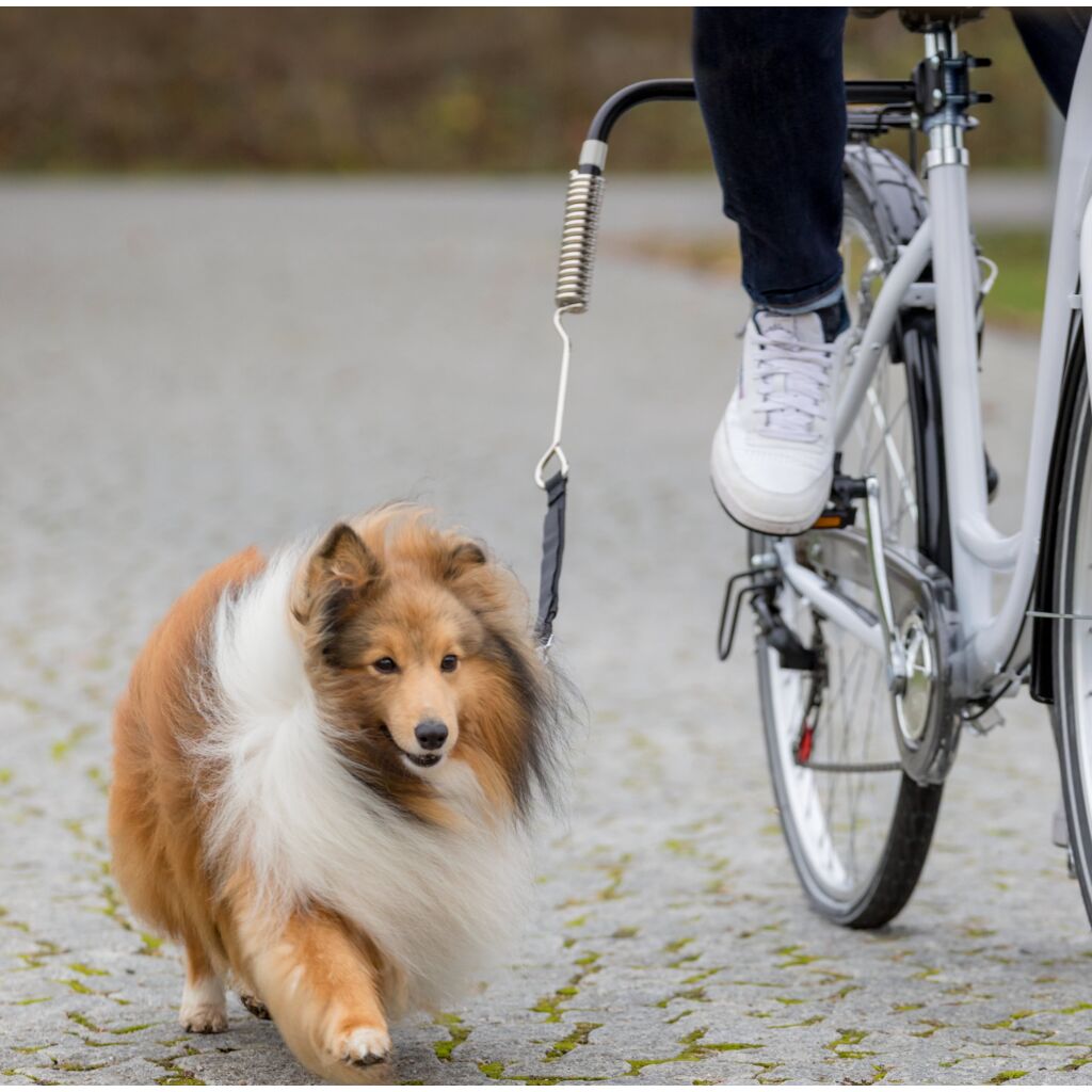 Hunde Biker-Set-Pfoten Feinstes