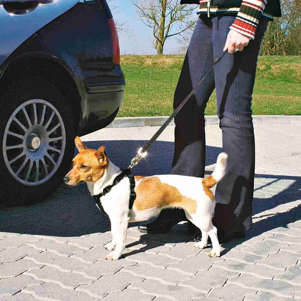 Auto-Geschirr-Pfoten Feinstes