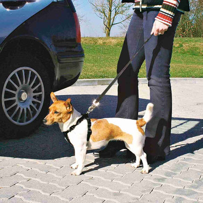 Auto-Geschirr-Pfoten Feinstes