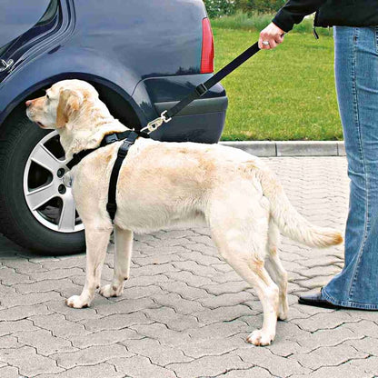 Auto-Geschirr-Pfoten Feinstes