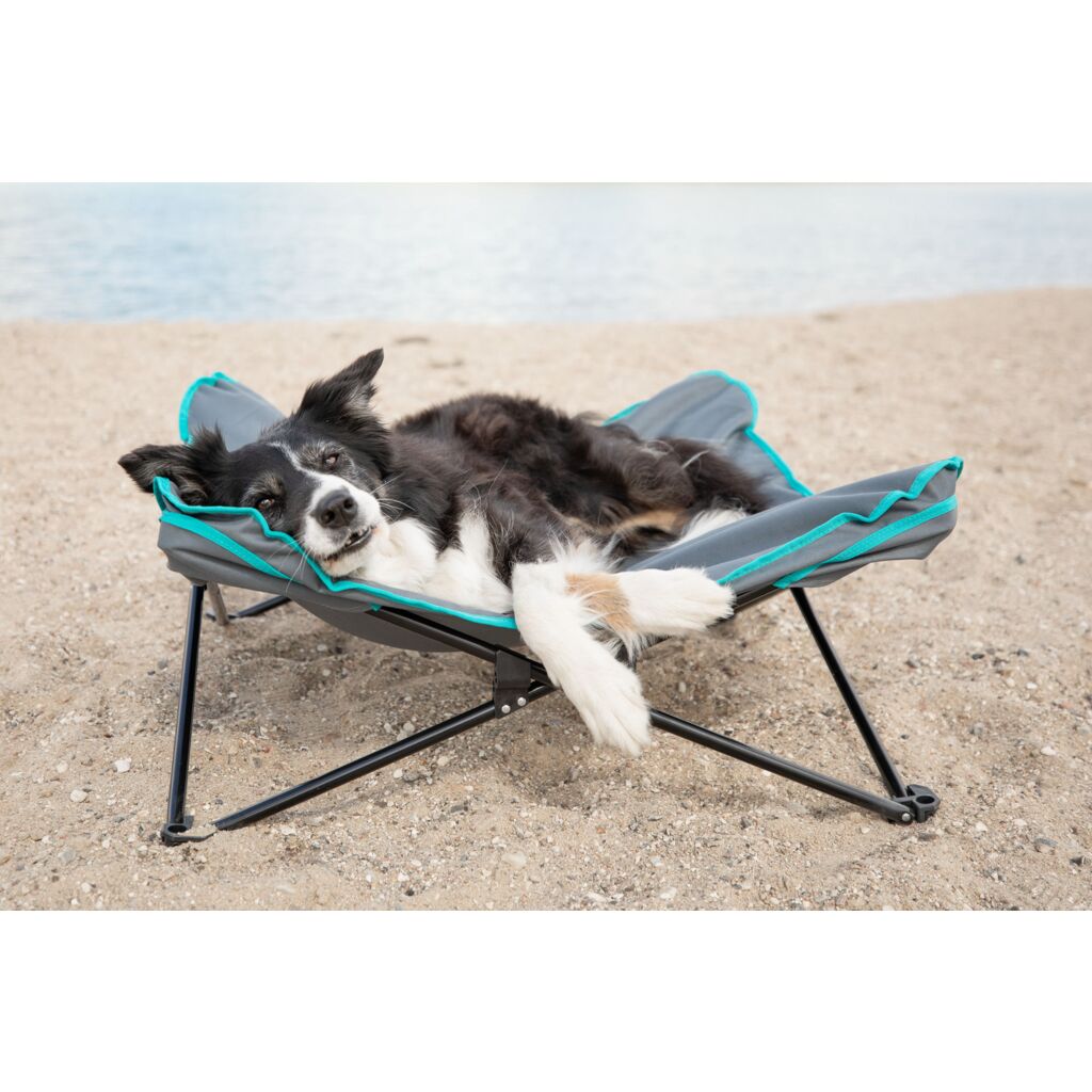 Camping-Bett-Pfoten Feinstes
