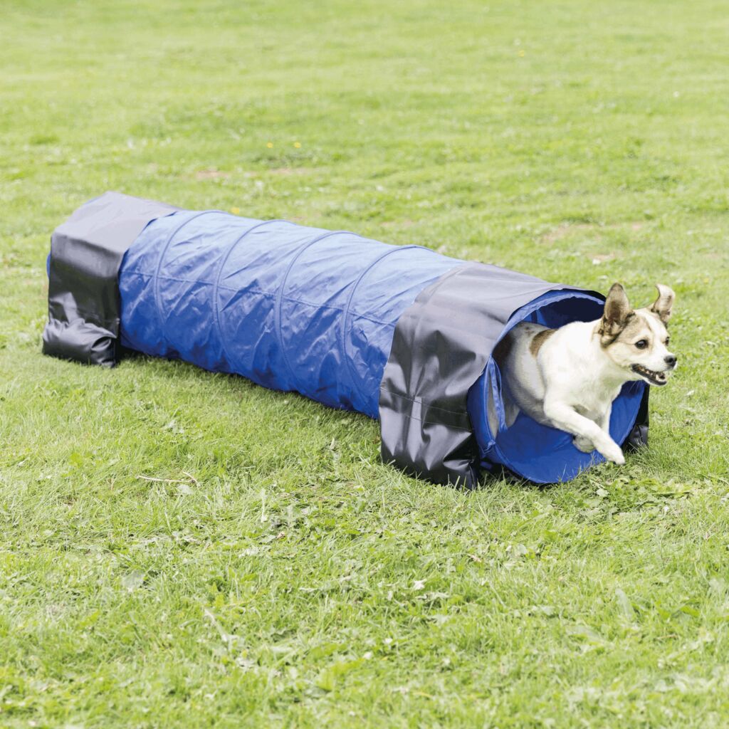 Fun Agility Mini Tunnel-Pfoten Feinstes
