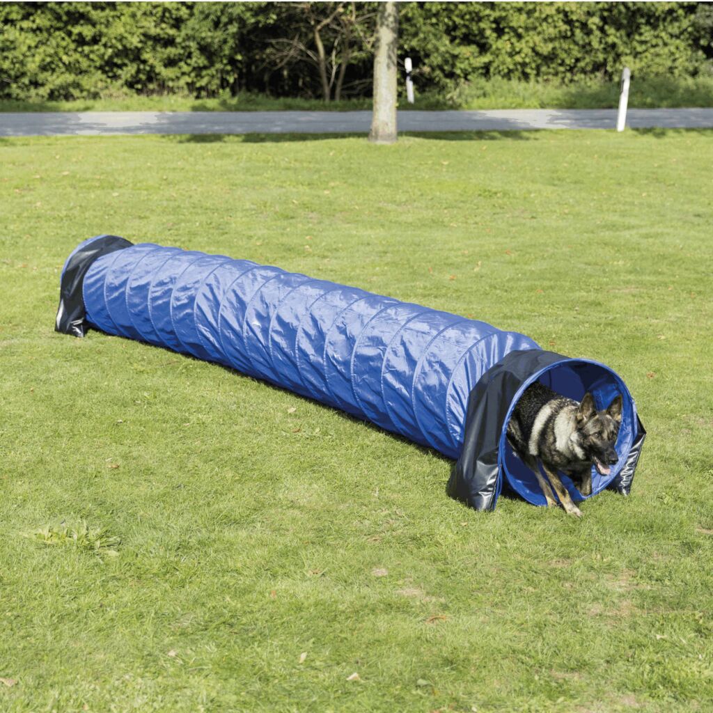 Fun Agility Basic Tunnel-Pfoten Feinstes