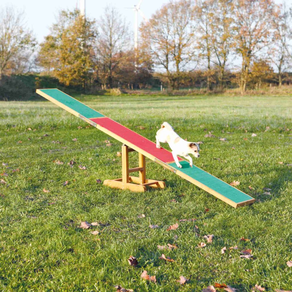 Fun Agility Wippe-Pfoten Feinstes