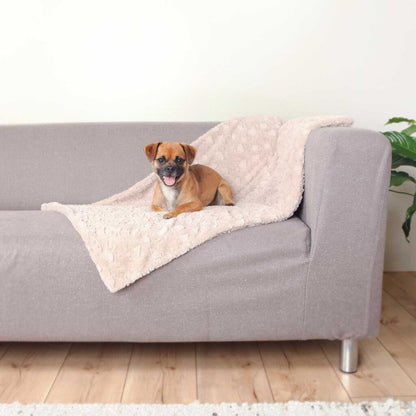 Decke Cosy-Pfoten Feinstes