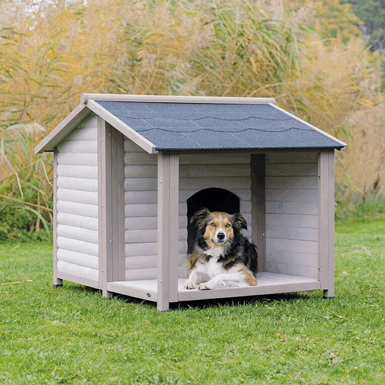 Hundehütte Lodge-Pfoten Feinstes