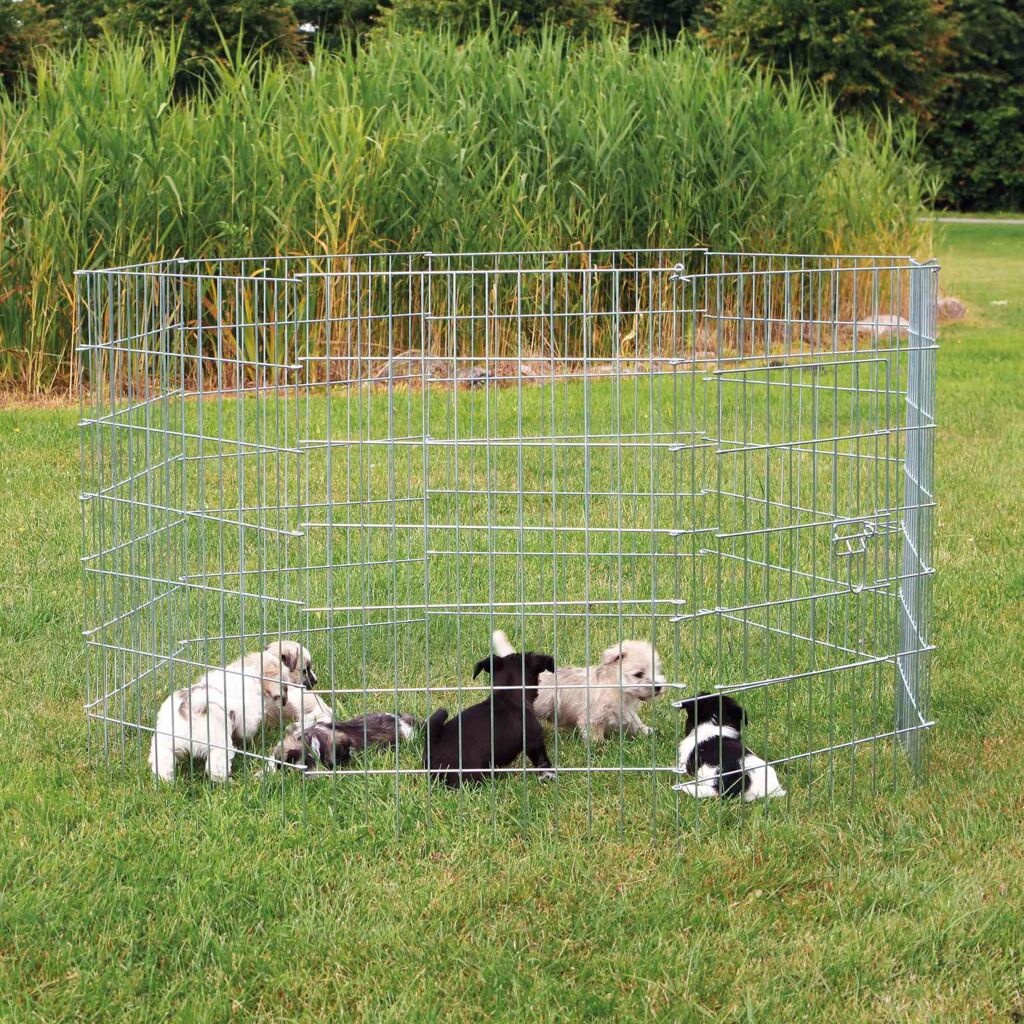 Freilauf für kleine Hunde-Pfoten Feinstes