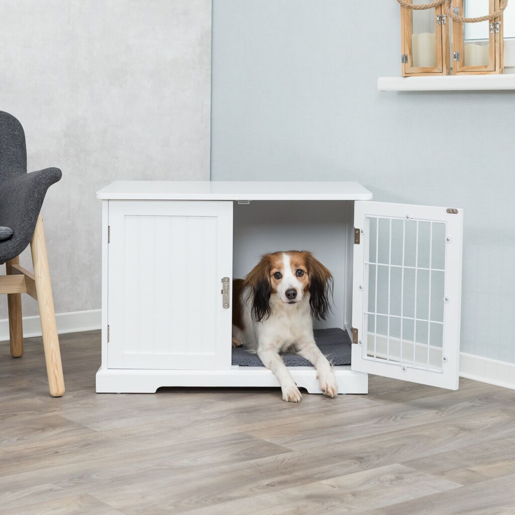 Home Kennel-Pfoten Feinstes