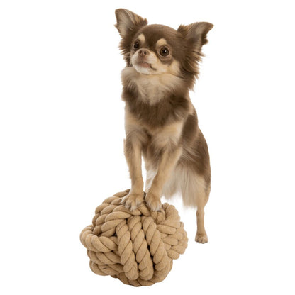 BE NORDIC Tau-Ball für Hunde-Pfoten Feinstes