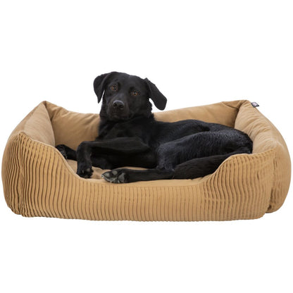 Bett Marley-Pfoten Feinstes