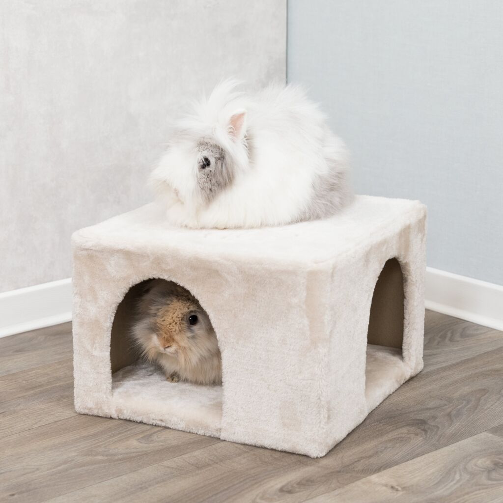 Kuschelhöhle-Pfoten Feinstes