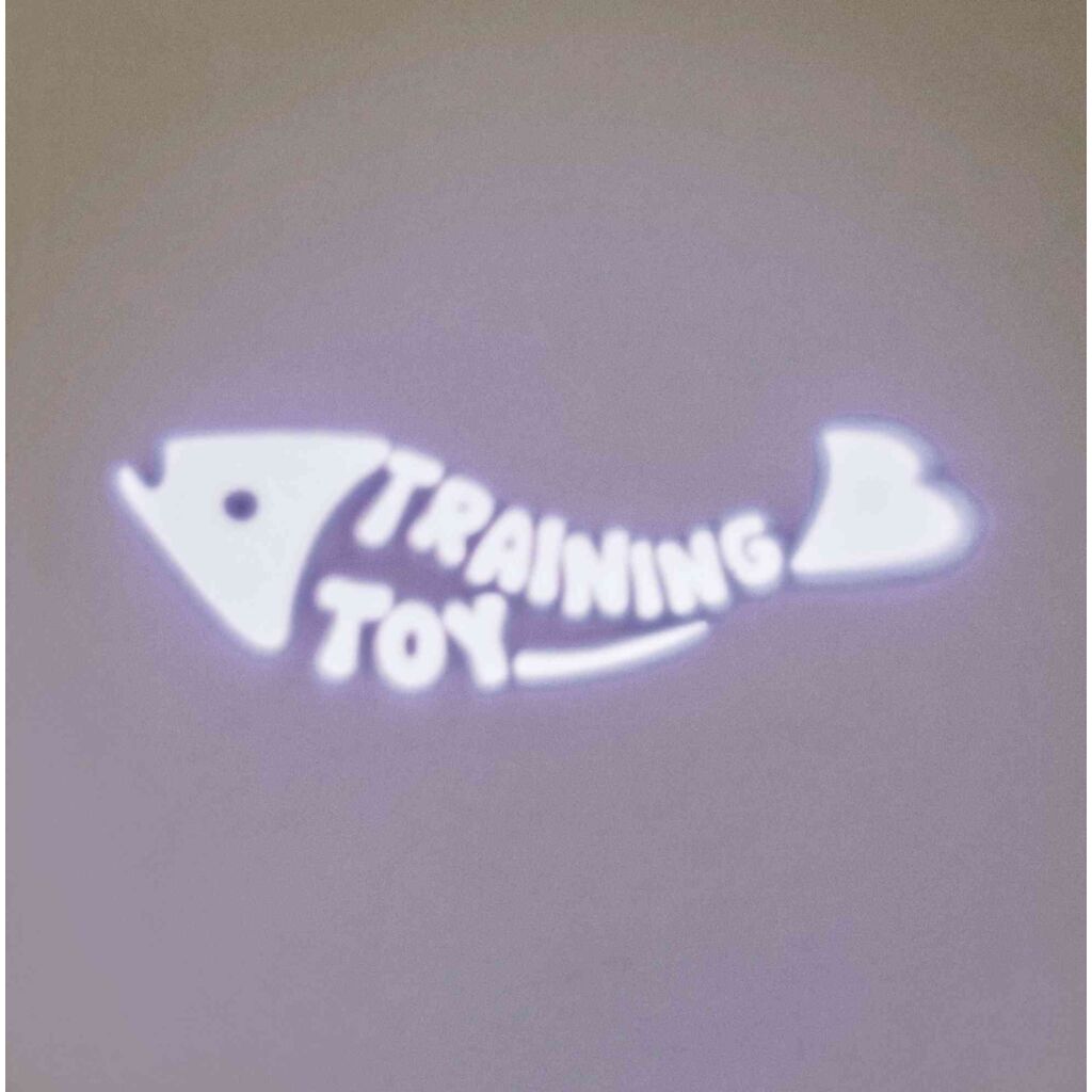 LED Pointer Catch the Light, Fisch-Pfoten Feinstes