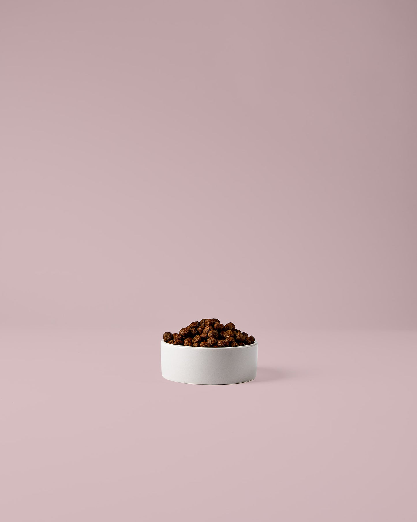 Huhn & Kartoffel „Adult + glänzendes Fell“